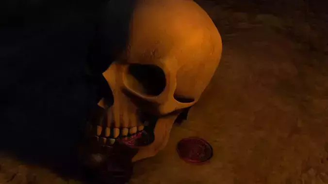 Skull Model with coins