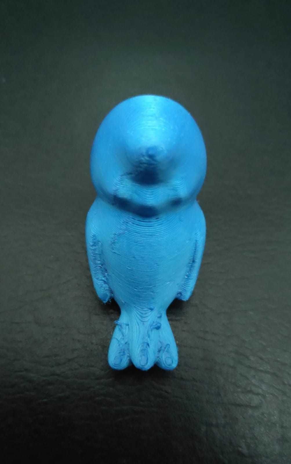 Cute Cockatiel 3D print model_11