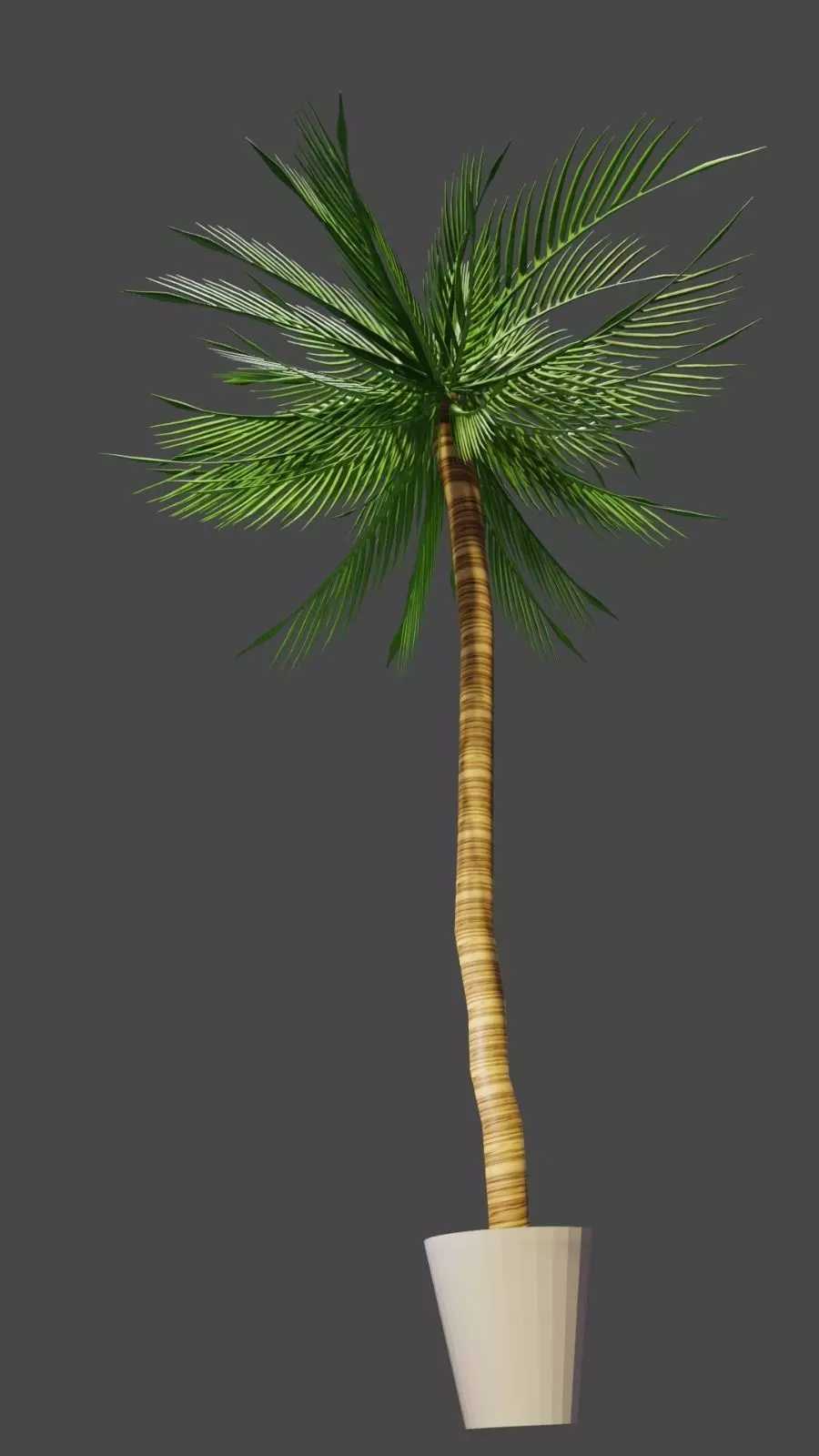 Palm tree Free 3D model
