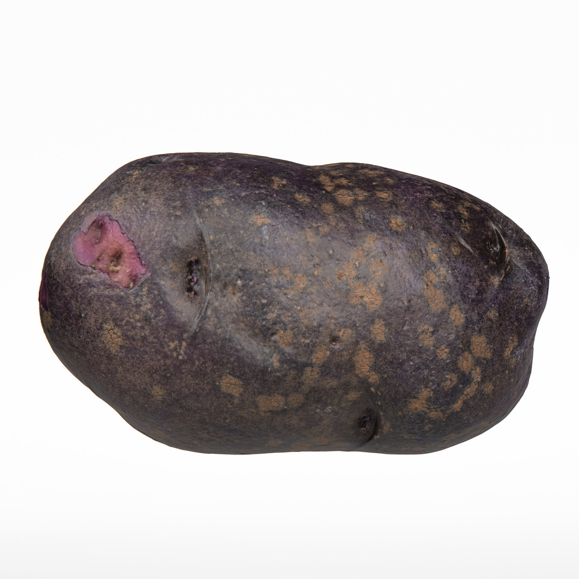Potato 3D model_5