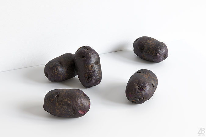 Potato 3D model