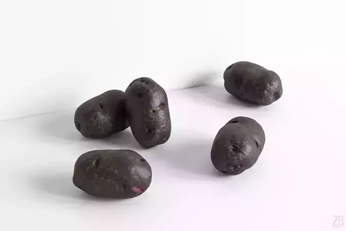 Potato 3D model