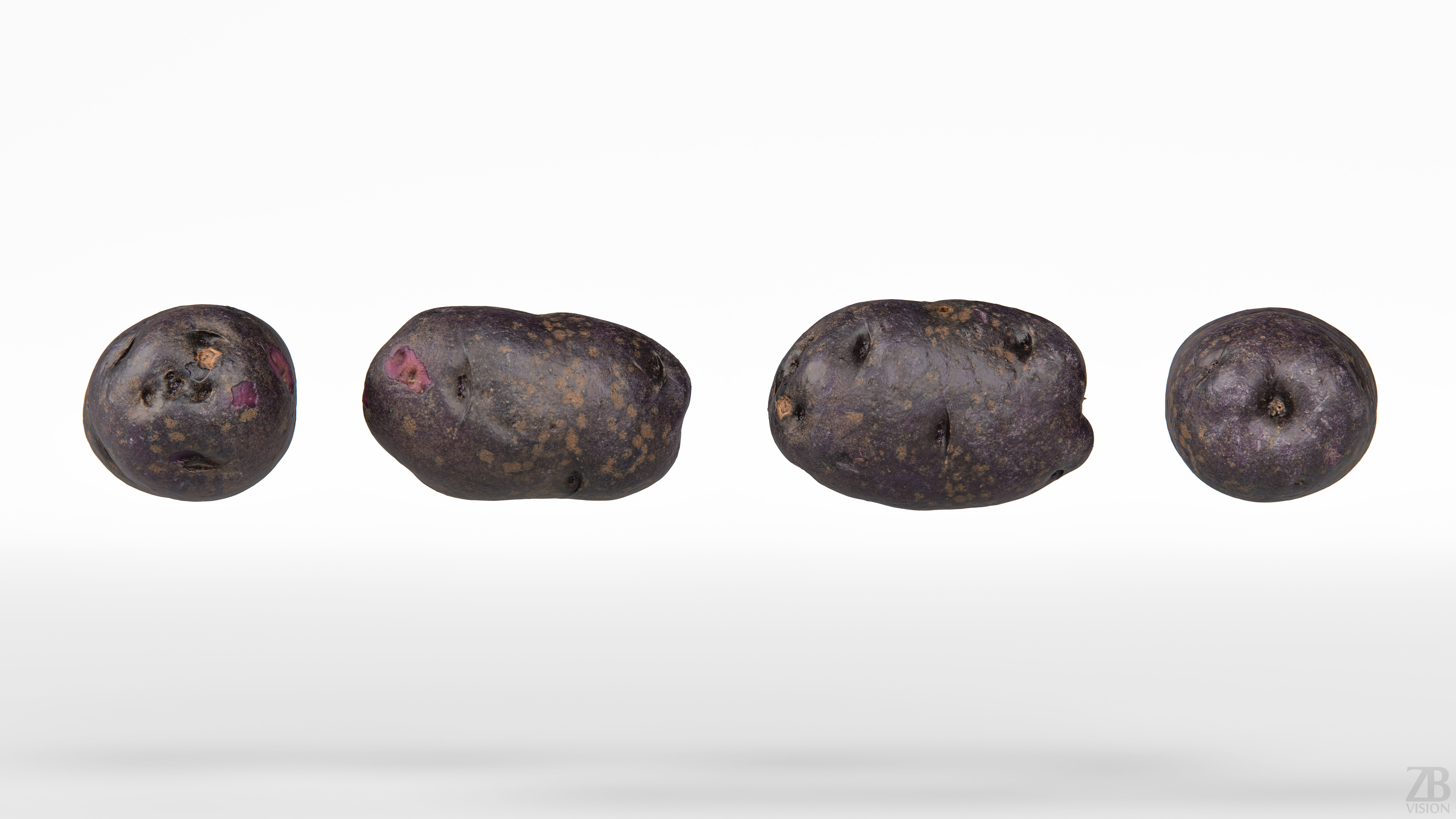 Potato 3D model_4