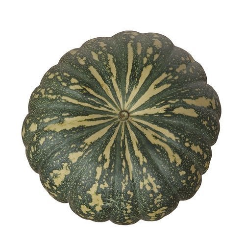 Photoscanned Kent Pumpkin Low-poly 3D model 6