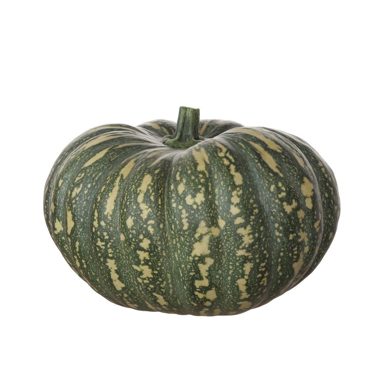 Photoscanned Kent Pumpkin Low-poly 3D model_3