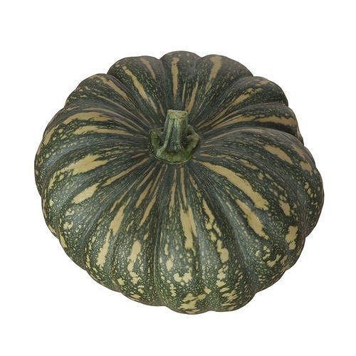 Photoscanned Kent Pumpkin Low-poly 3D model 5