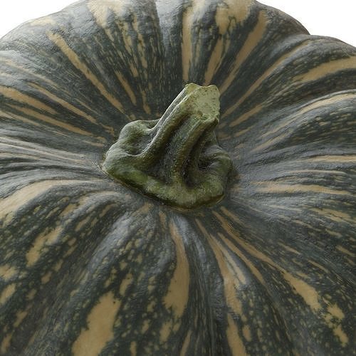 Photoscanned Kent Pumpkin Low-poly 3D model 7