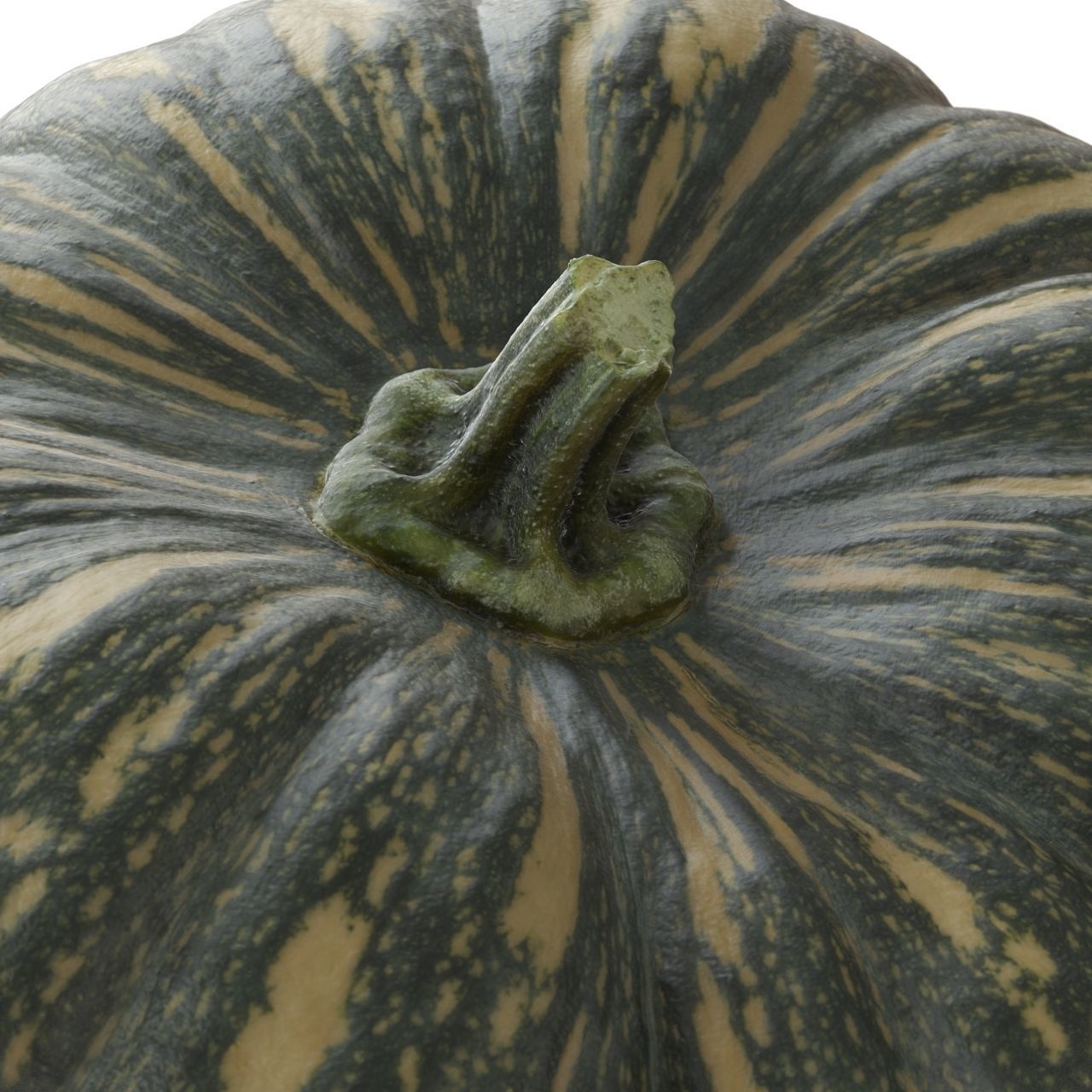 Photoscanned Kent Pumpkin Low-poly 3D model_7