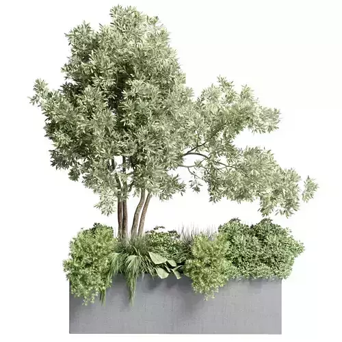 Outdoor plant garden concrete vase bax pot and grass bush palm