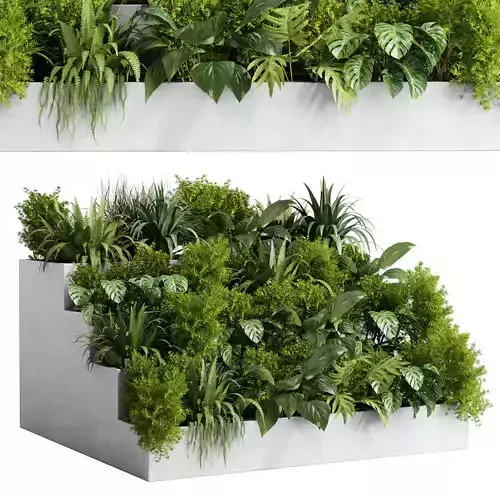  outdoor indoor plant  stairs concrete vase pot fern bush grass 