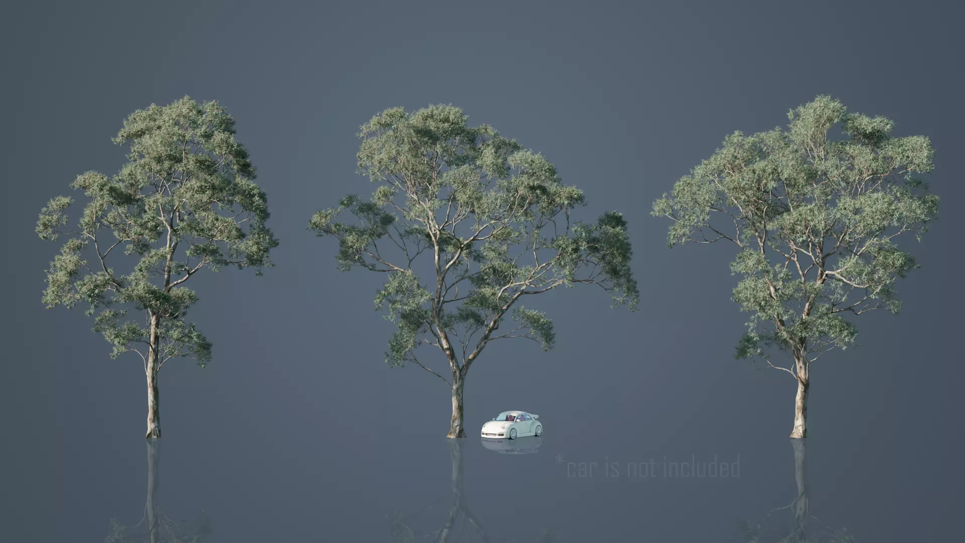 Eucalyptus Willow Trees Low-poly 3D model_0