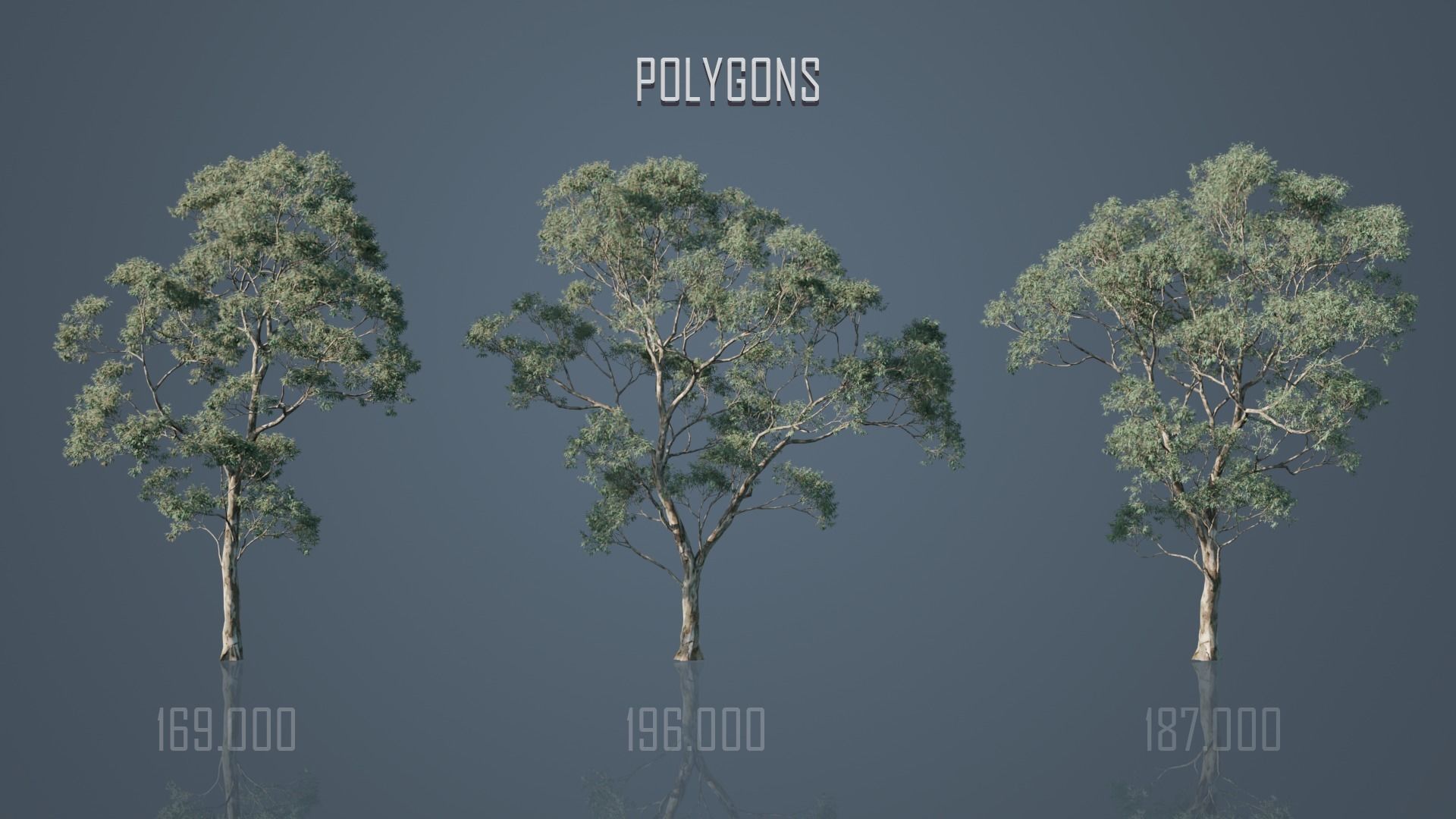 Eucalyptus Willow Trees Low-poly 3D model_9