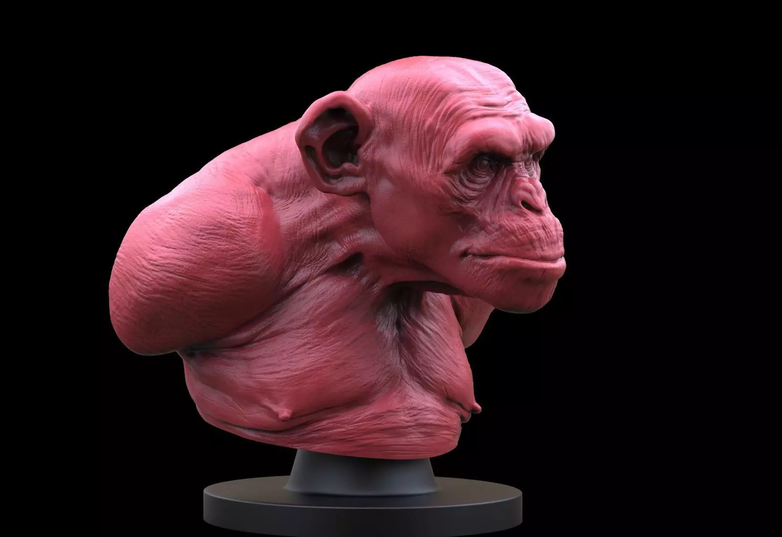 Monkey Bust  3D print model_0