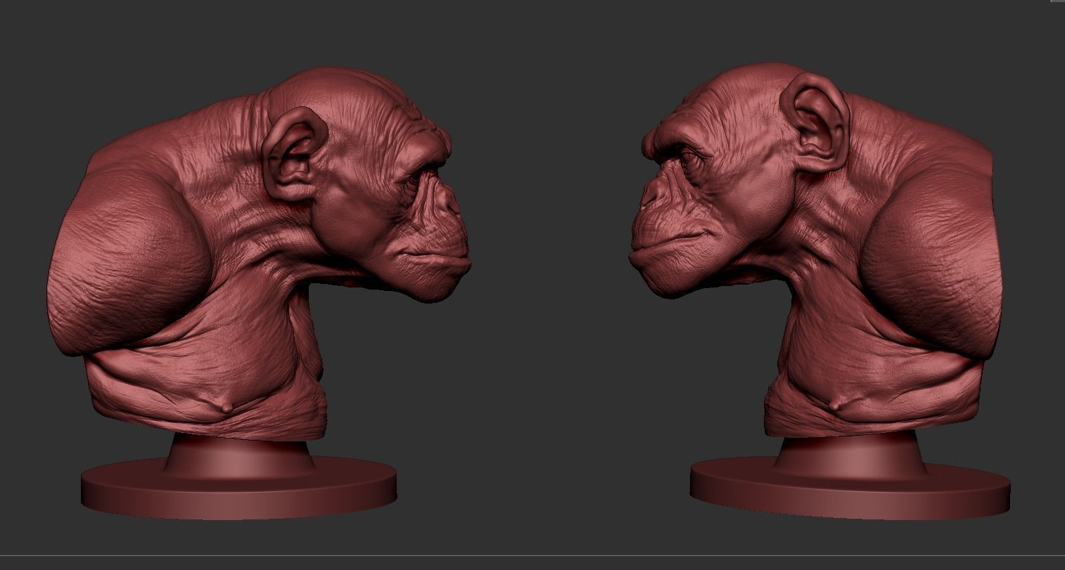Monkey Bust  3D print model_6