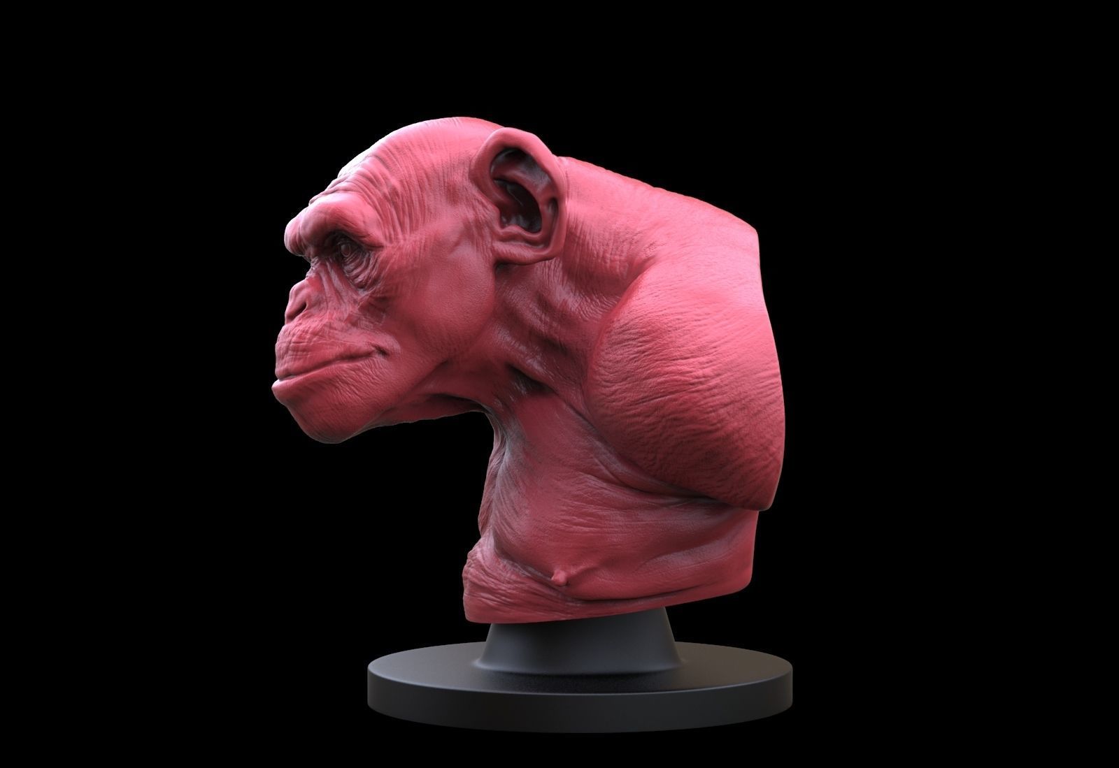 Monkey Bust  3D print model_2