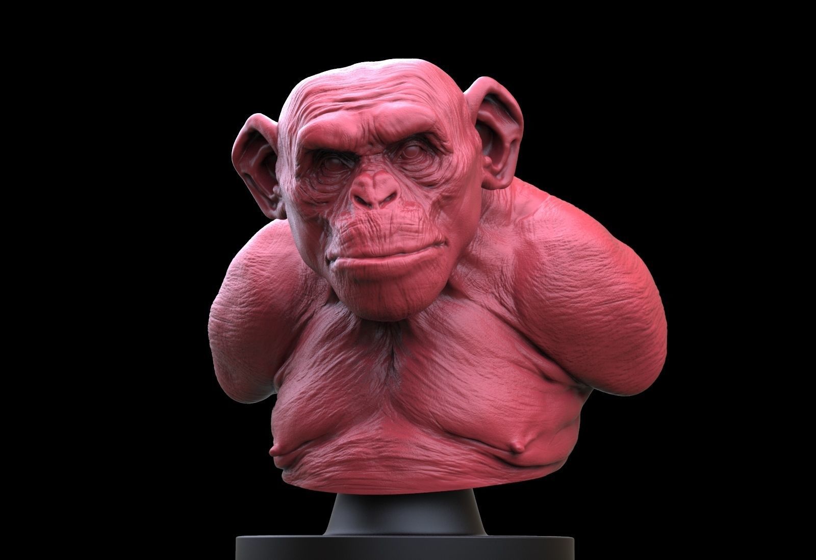 Monkey Bust  3D print model_1