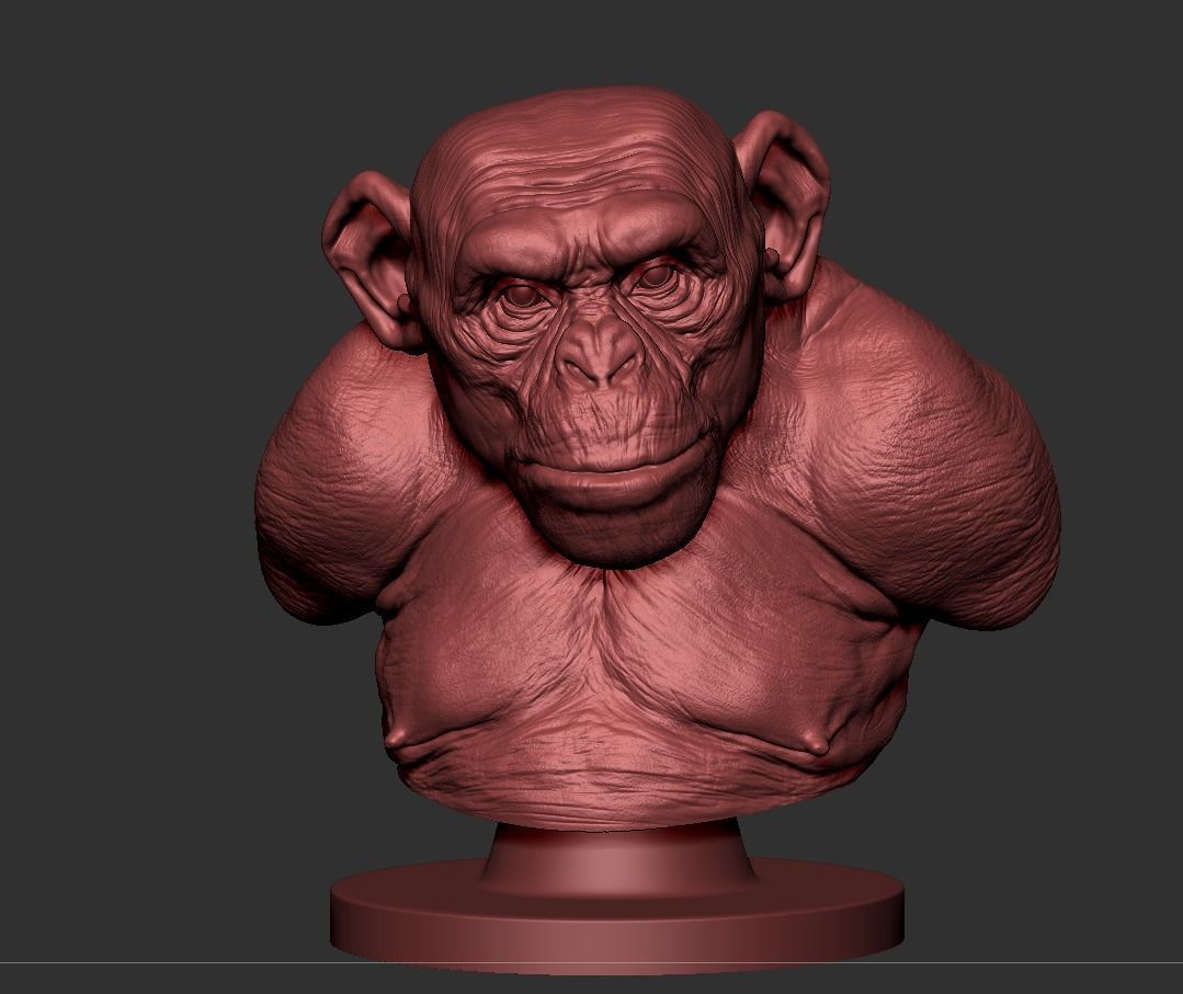 Monkey Bust  3D print model_3