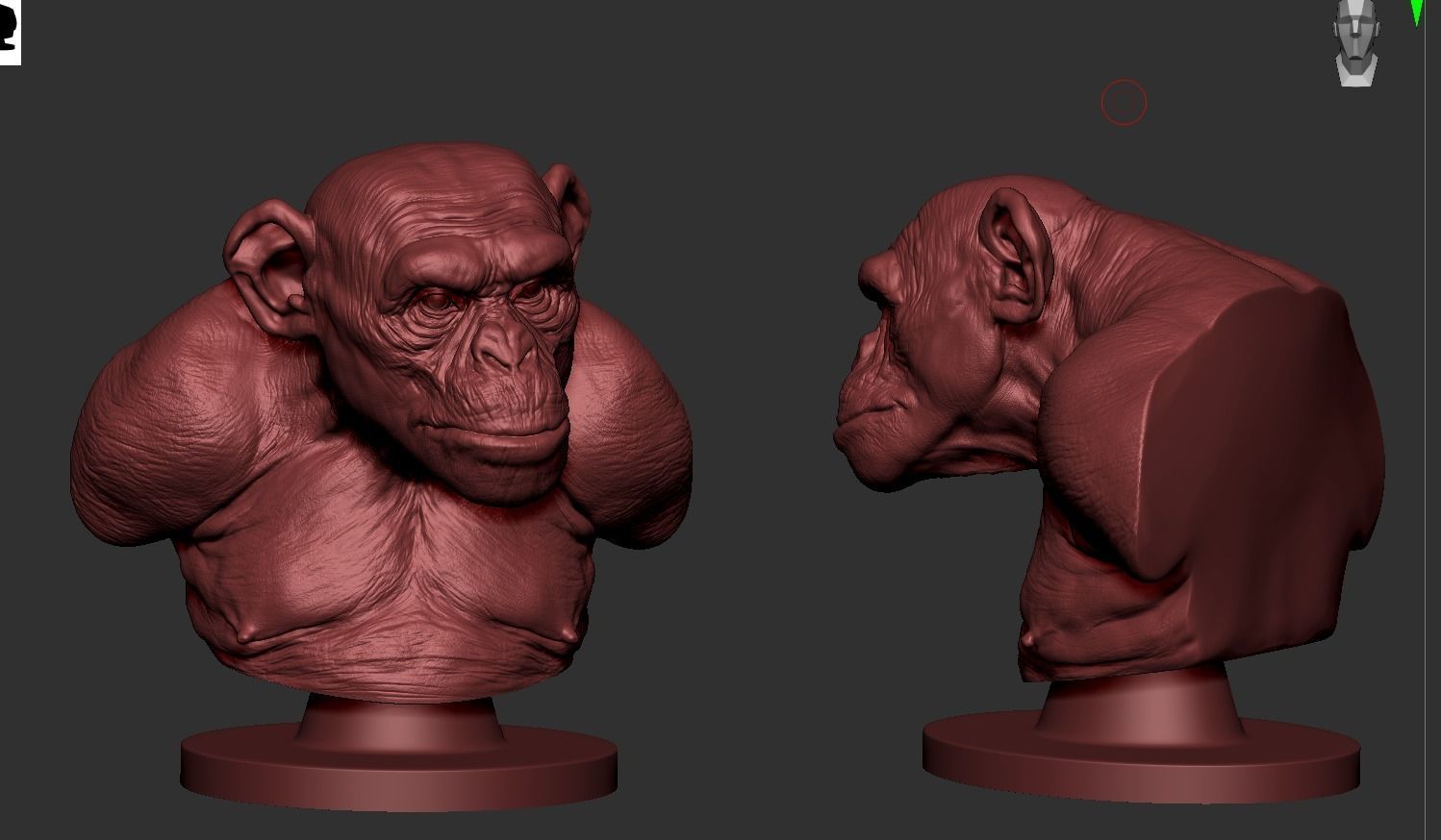 Monkey Bust  3D print model_7