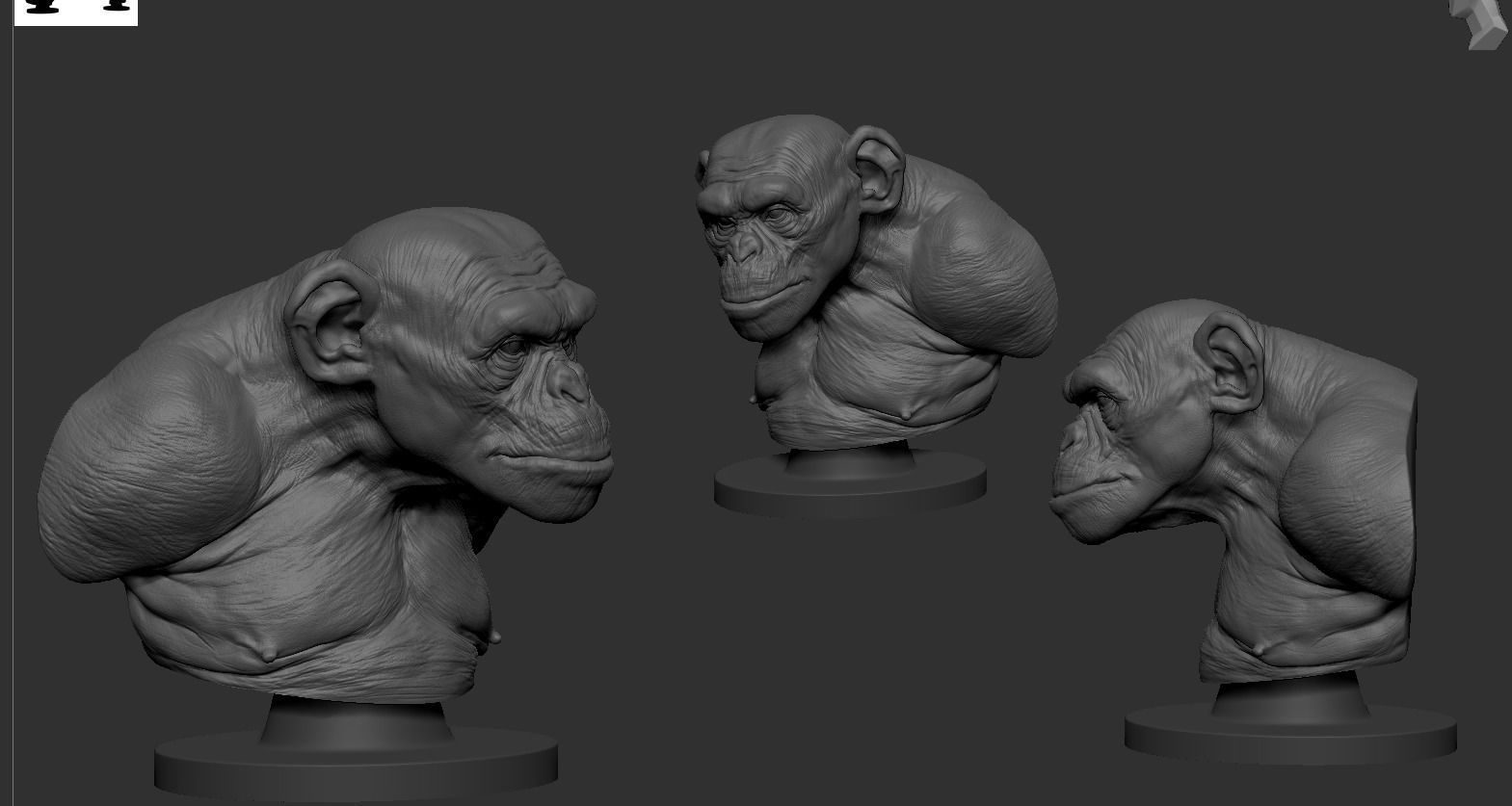 Monkey Bust  3D print model_11