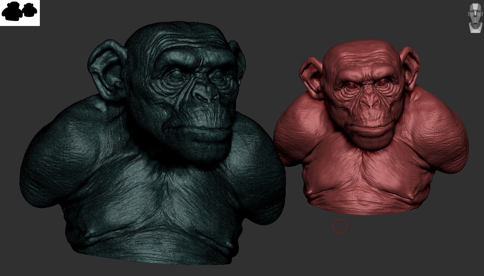 Monkey Bust  3D print model_10