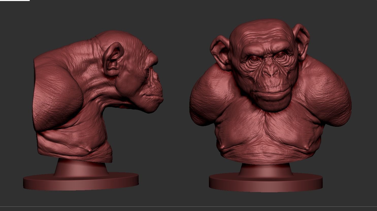 Monkey Bust  3D print model_8