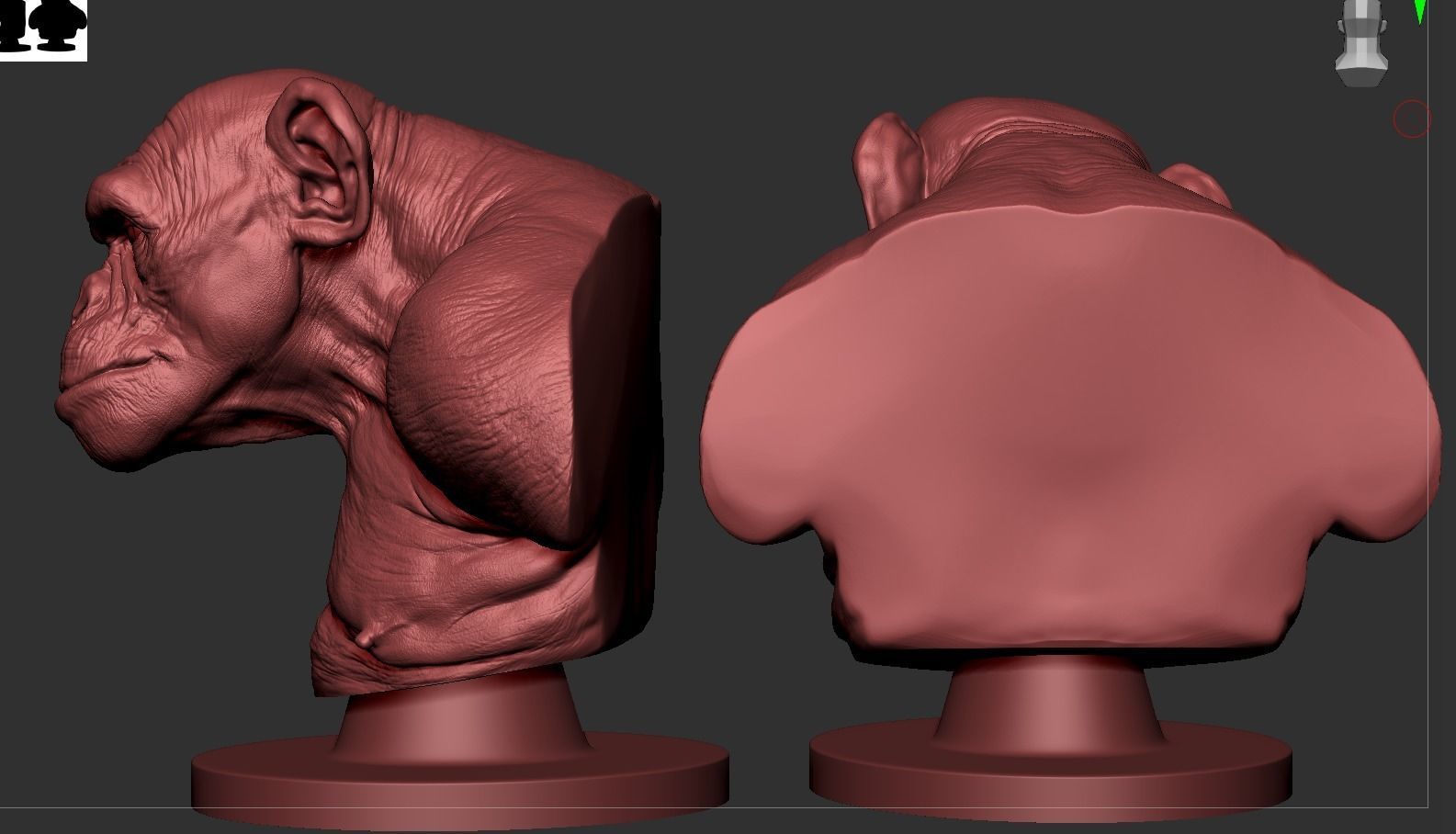 Monkey Bust  3D print model_5