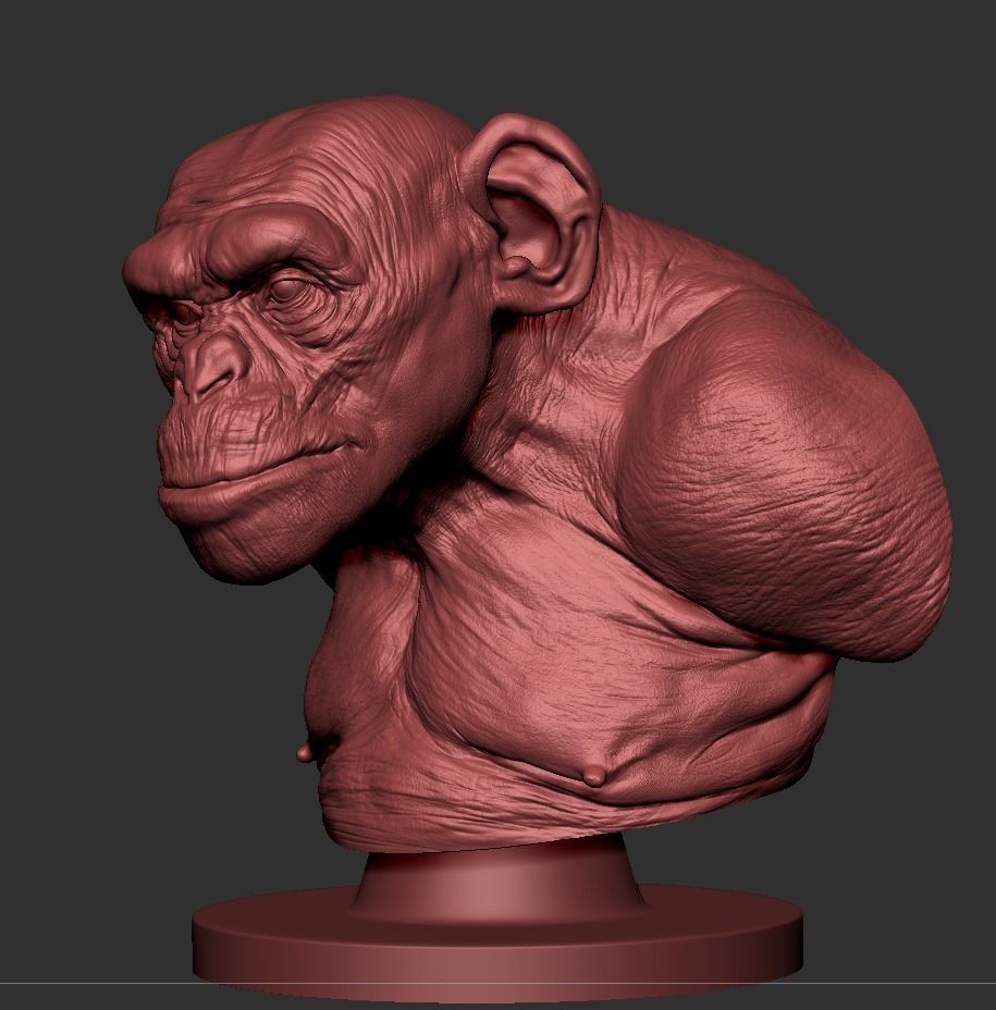 Monkey Bust  3D print model_4