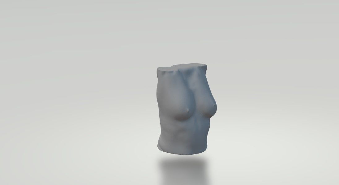 Nude Female Torso 3D model_1