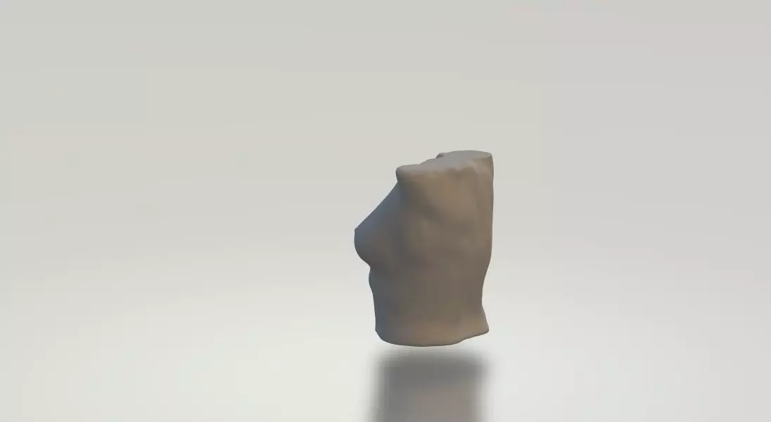 Nude Female Torso 3D model_0