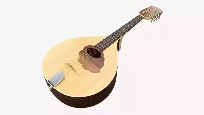 Flat mandola 3D model