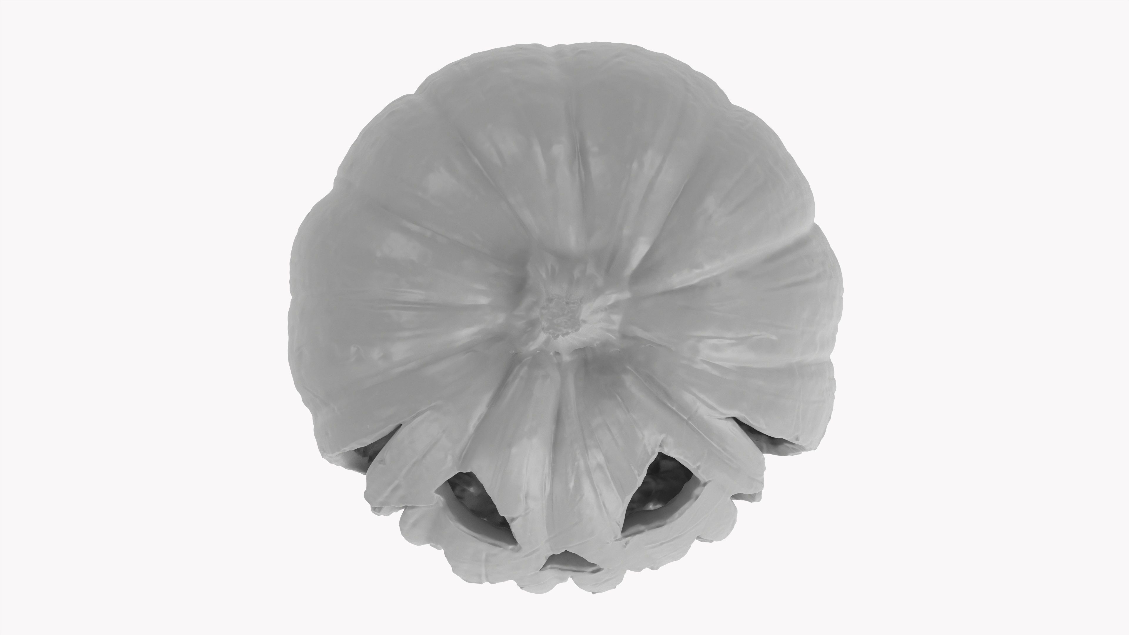 Pumpkin Head 02 3D model_5