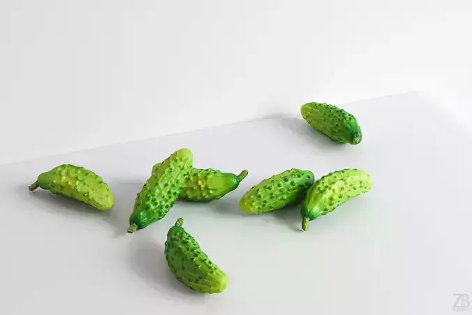 Cucumber 3D model