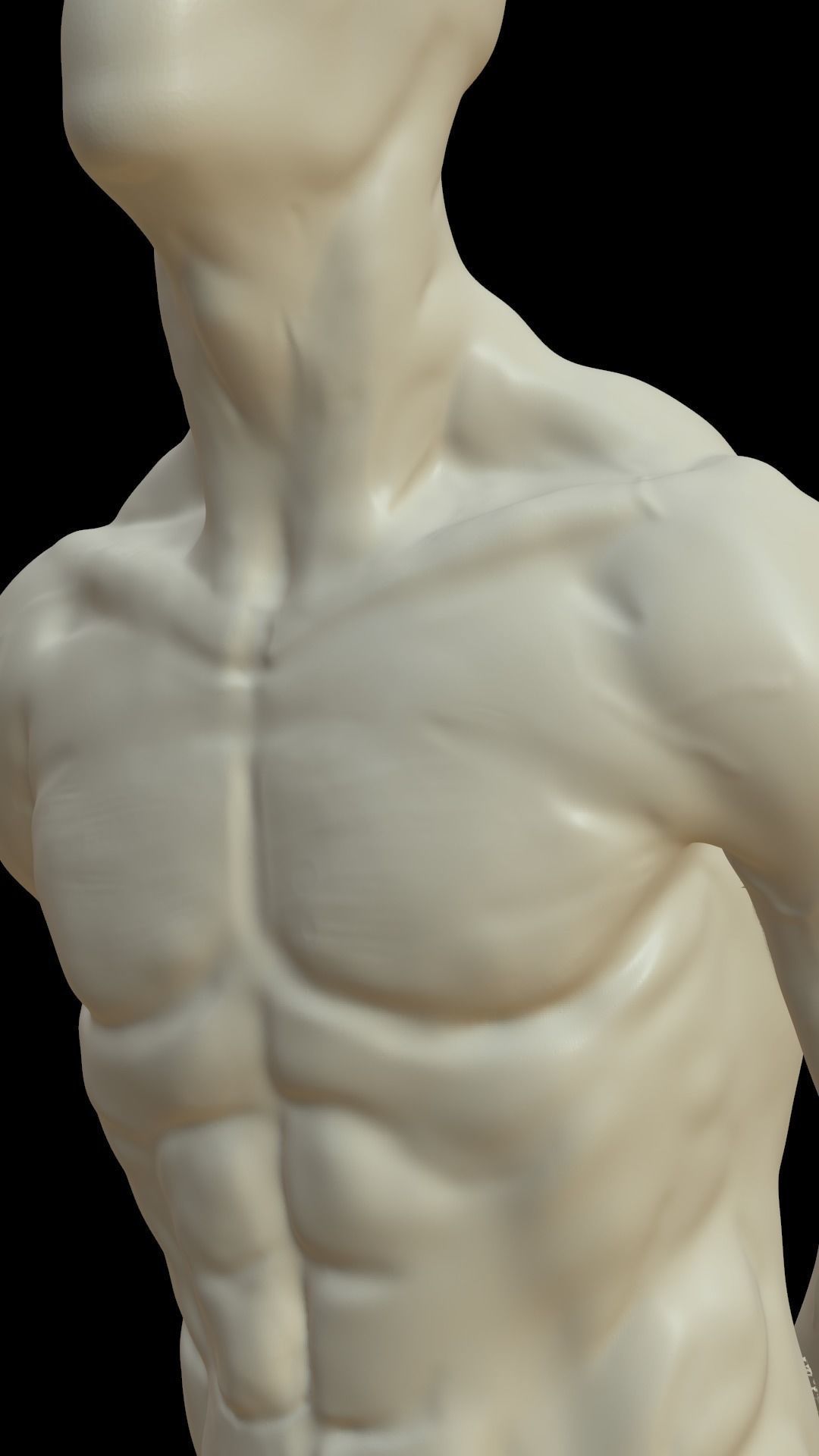 Male torso 3D model_6