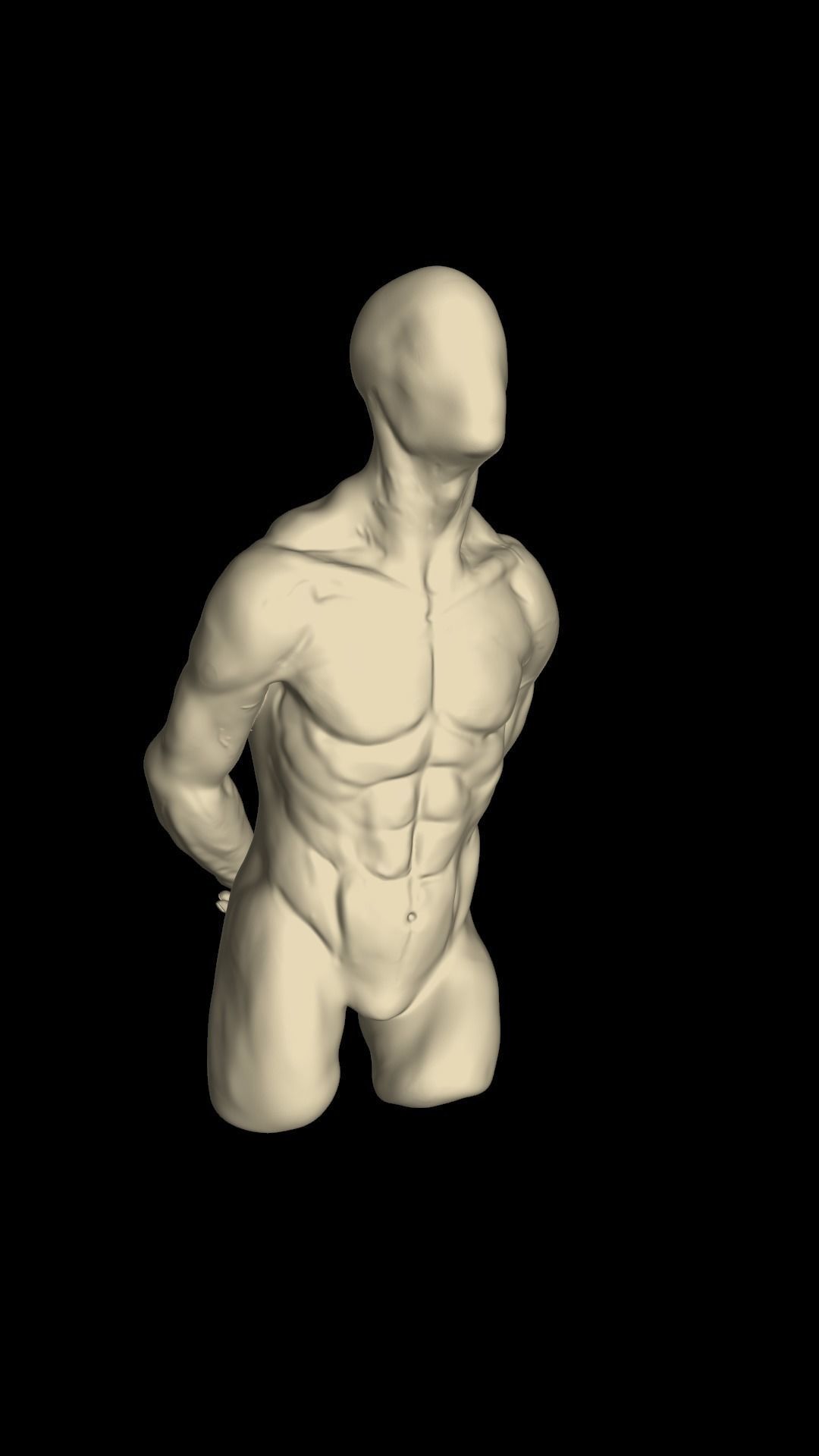 Male torso 3D model_1