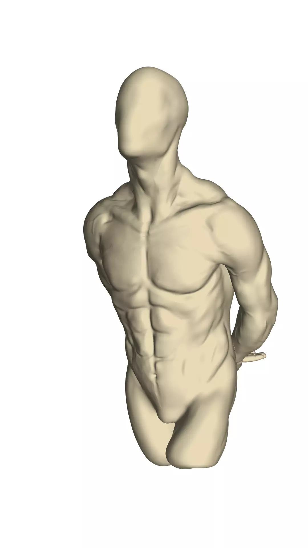 Male torso 3D model_0