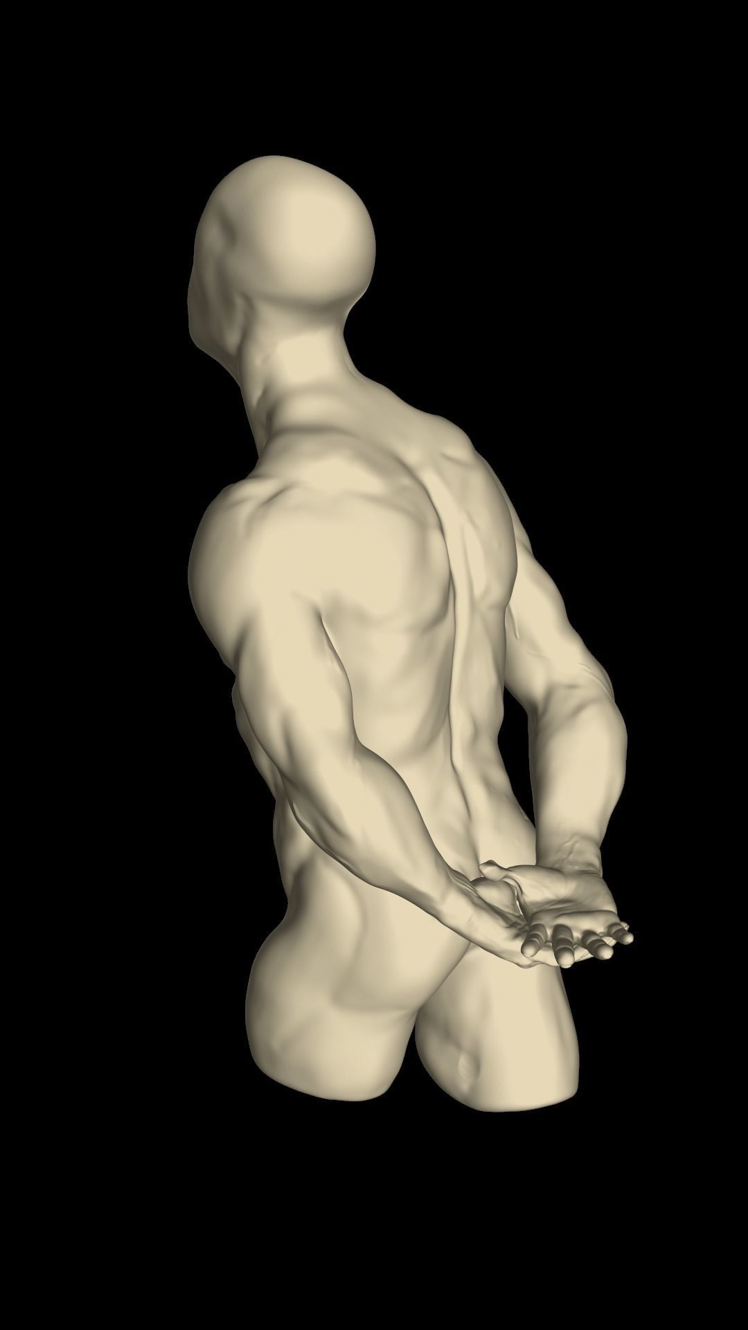 Male torso 3D model_2