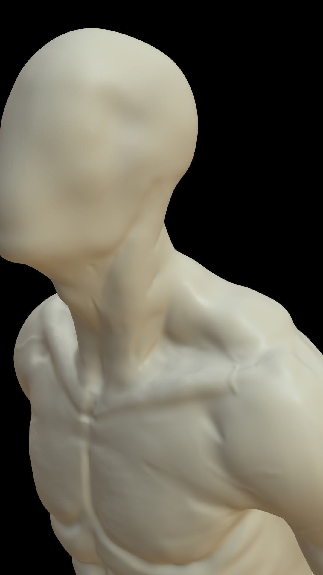 Male torso 3D model_5