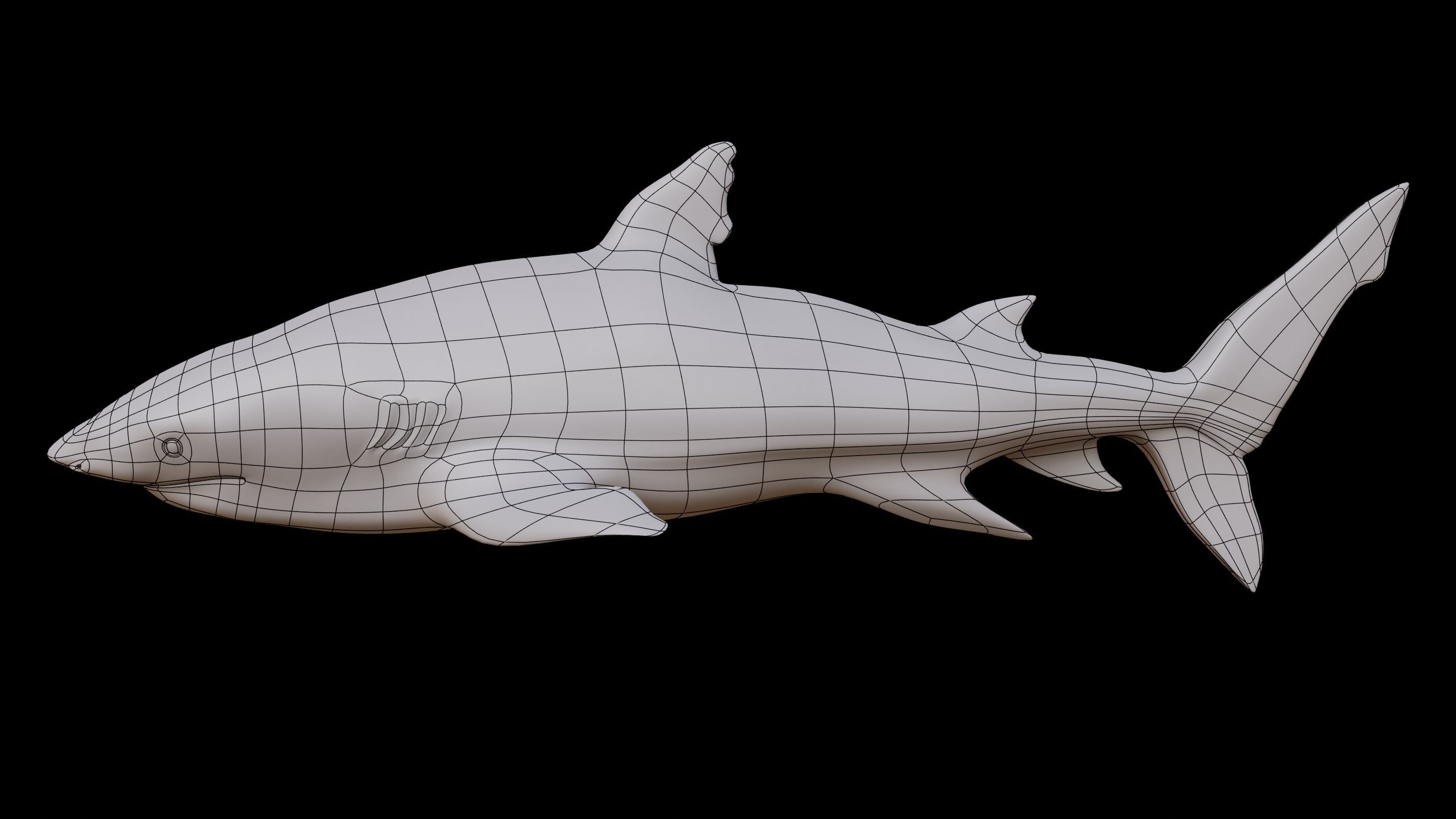 Shark  Rigged Low-poly 3D model_5