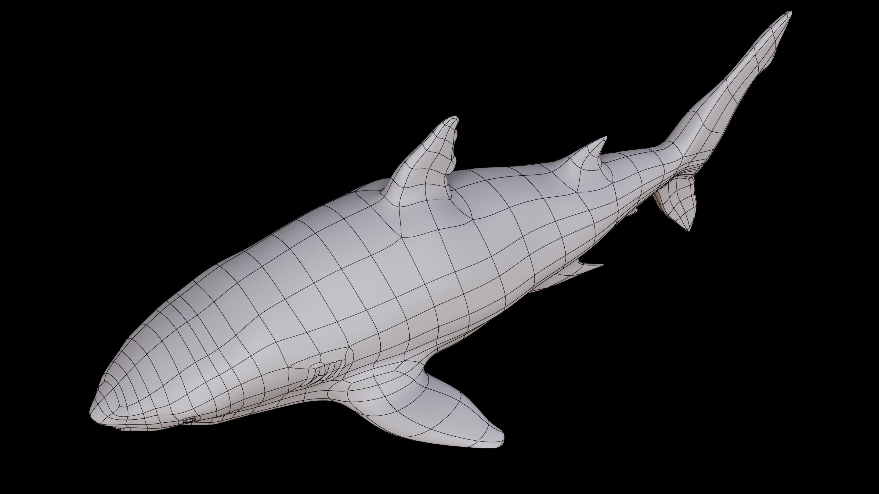 Shark  Rigged Low-poly 3D model_6
