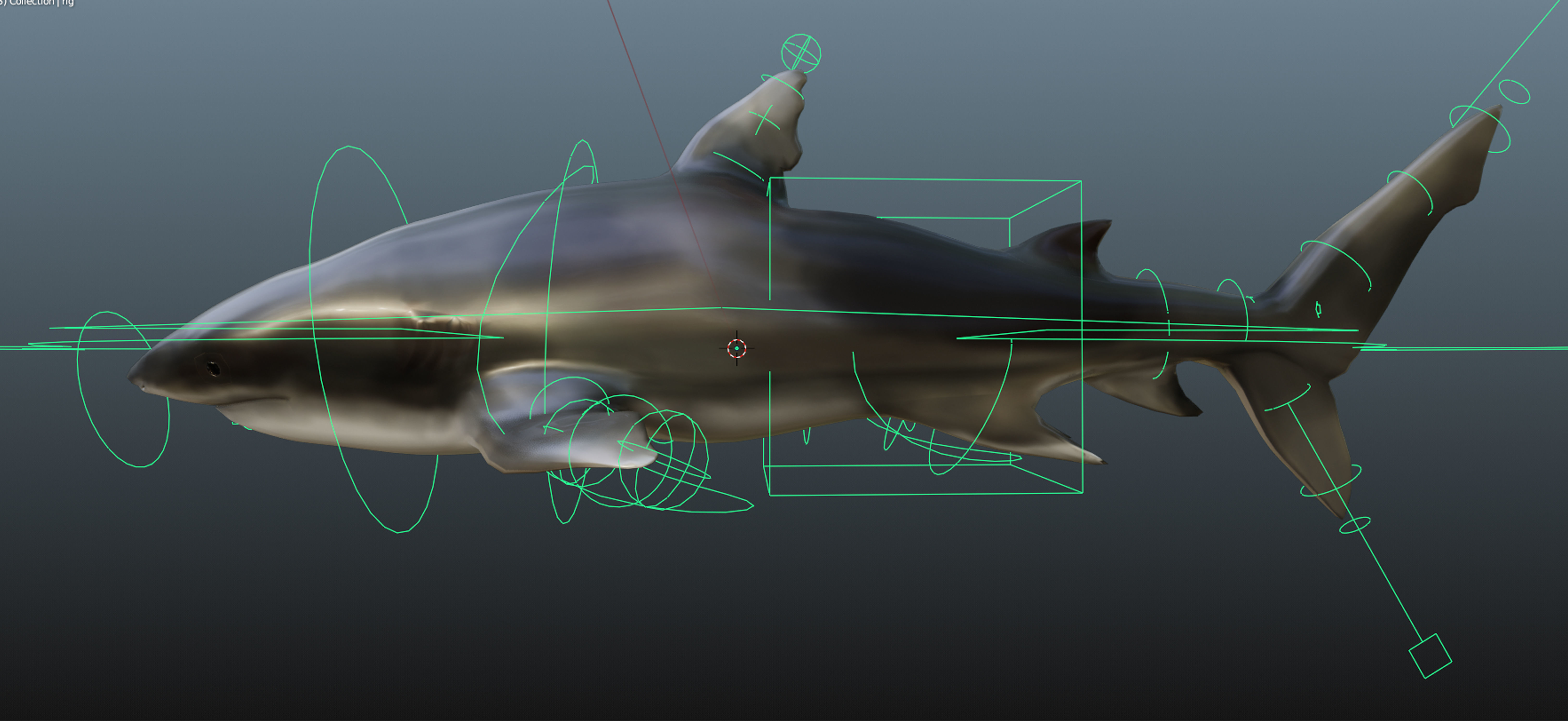 Shark  Rigged Low-poly 3D model_4