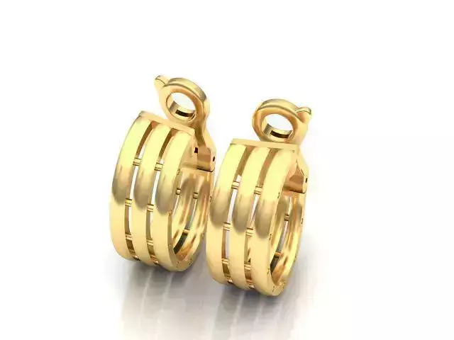 earrings pair of gold hoop