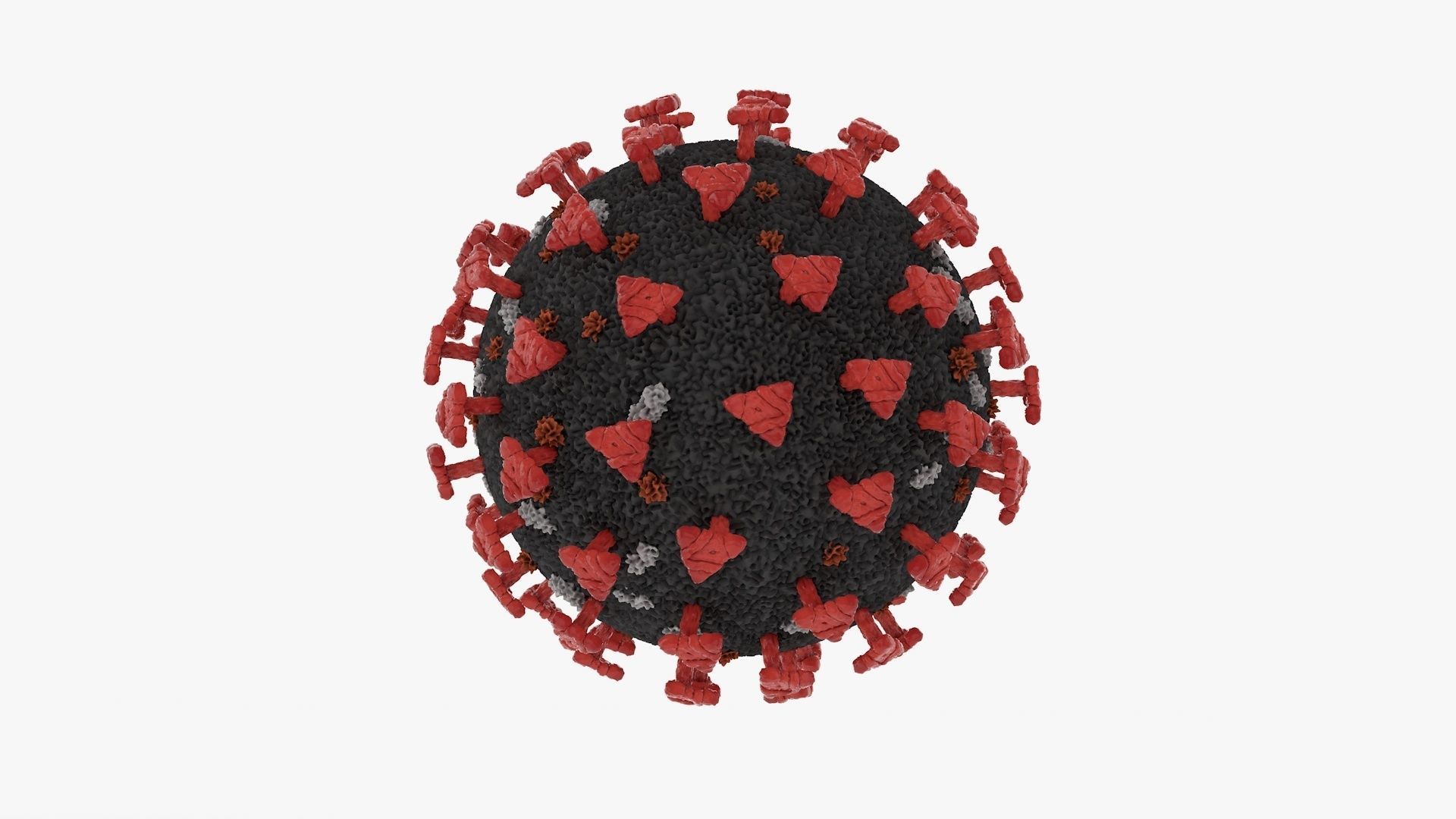 3D Corona Virus Covid 19 3D model_2