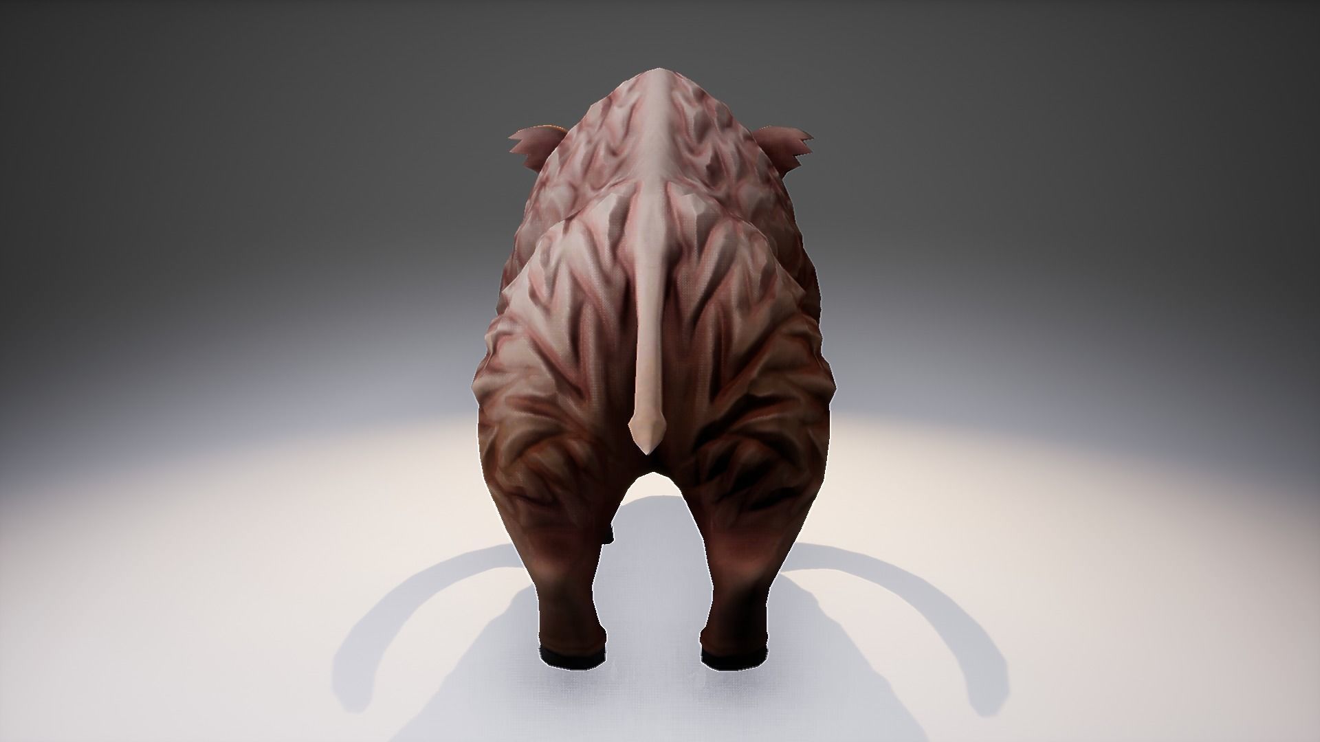 Stylized Boar Low-poly 3D model_6