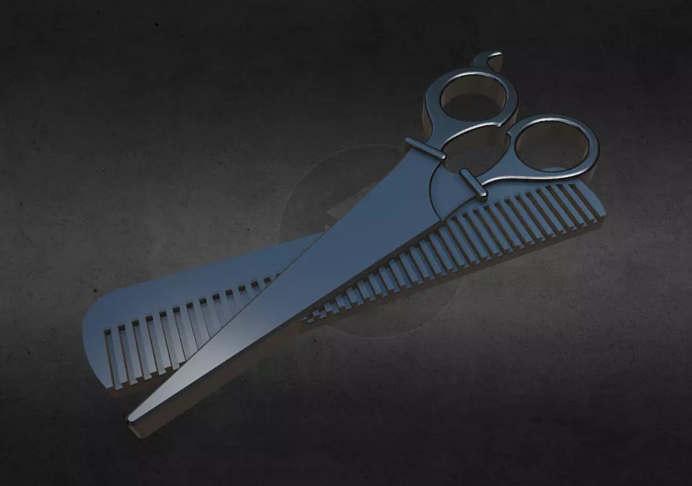 Scissors pair of and comb 3D print model_0