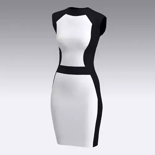DRESS HOURGLASS BLACK WHITE FASHION STYLE