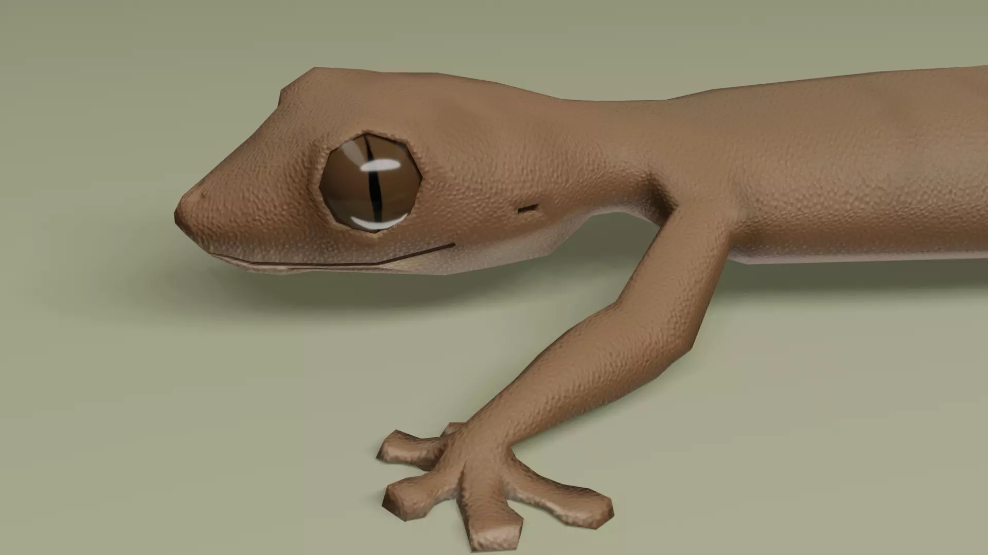 House Gecko Lizard - Lowpoly Model Low-poly 3D model