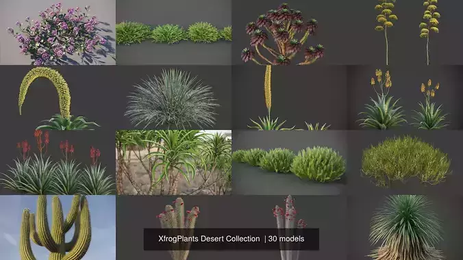 XfrogPlants Desert Collection 1 