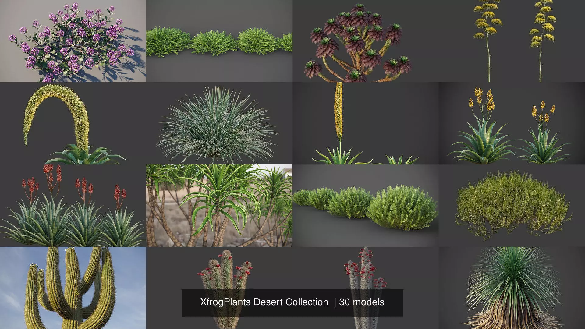 XfrogPlants Desert Collection 1 _0