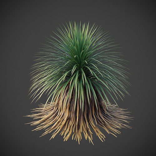 XfrogPlants Desert Collection 1 _28