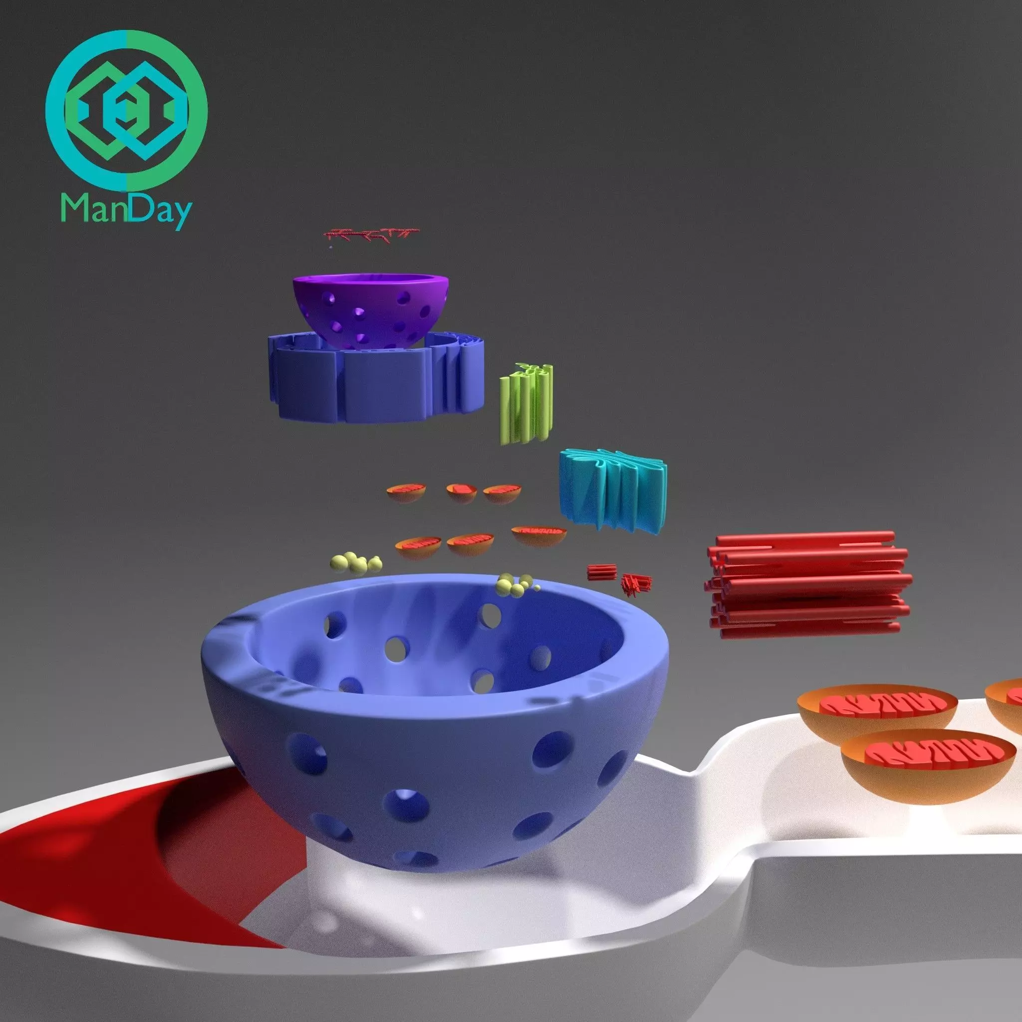 Sperm cell for 3D PRINTING 3D print model